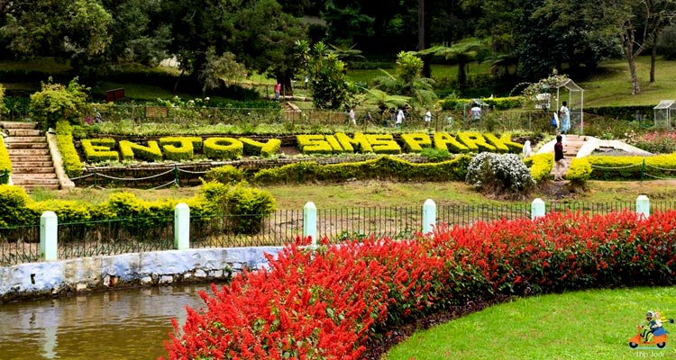 Discover the popular 10 Tourist Places in Ooty Now!