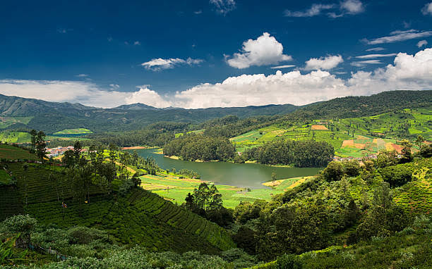 Tourist places in Ooty